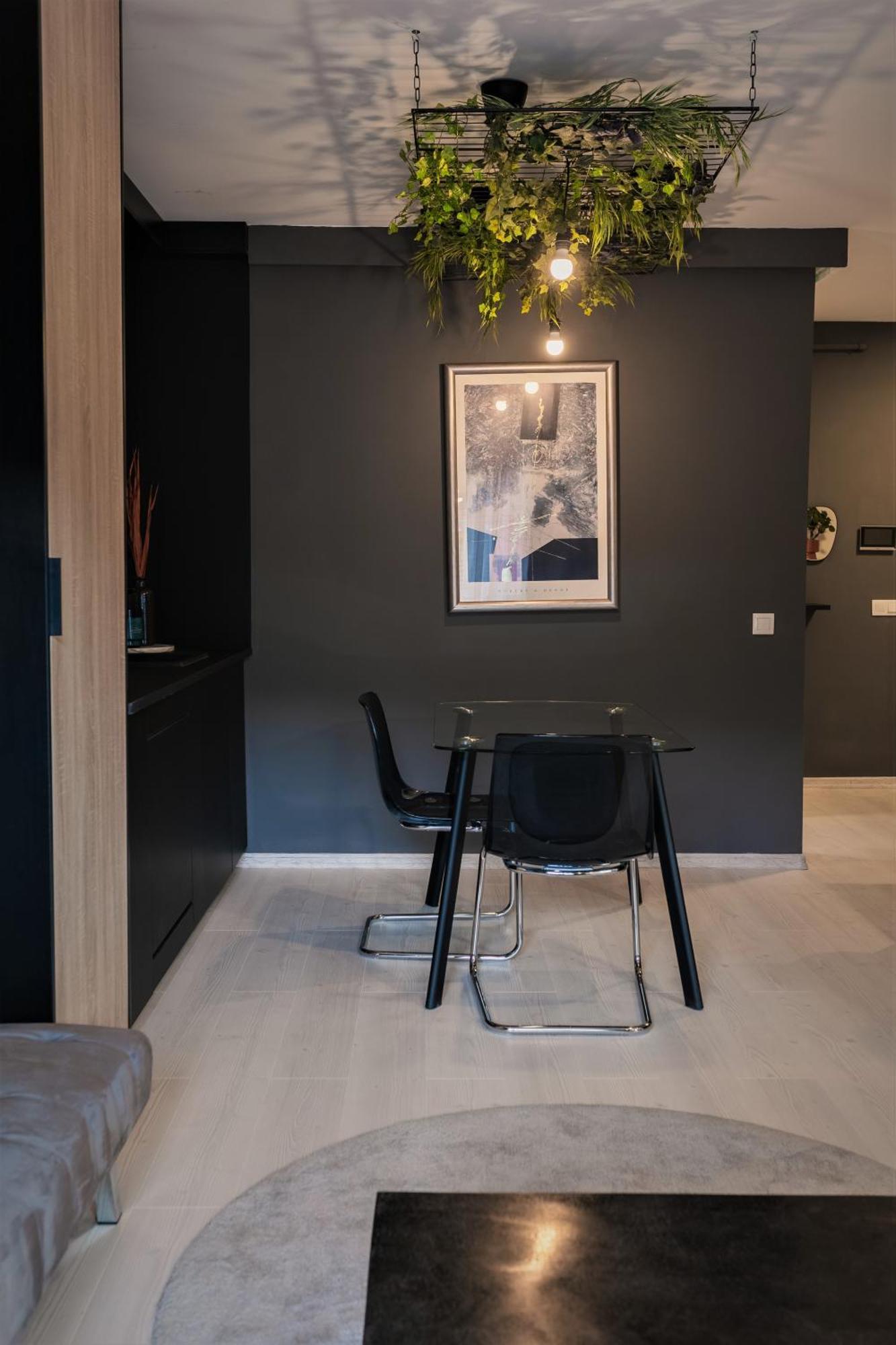 Studio No5 סיגישוארה מראה חיצוני תמונה